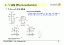 Carbohydrates 8페이지