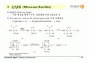 Carbohydrates 12페이지
