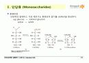 Carbohydrates 13페이지