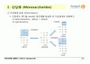Carbohydrates 14페이지