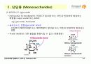 Carbohydrates 16페이지