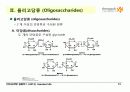 Carbohydrates 19페이지