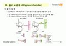 Carbohydrates 20페이지