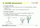 Carbohydrates 31페이지