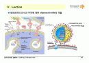 Carbohydrates 33페이지