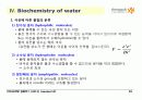 Foundations of Biochemistry 28페이지