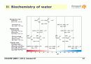 Foundations of Biochemistry 33페이지