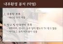 젤존 13페이지
