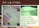 젤존 28페이지