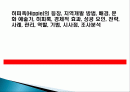 히피족(Hippie)의 등장, 지역개발 방법, 배경, 문화 예술가, 히피룩, 경제적 효과, 성공 요인, 전략, 사례, 관리, 역할, 기법, 시사점, 조사분석 1페이지