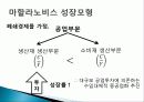 인도 경제발전, 성공요인, 과정, 우리나라 경제 발전과의 비교, 특징, 경제적 효과, 현황, 관리, 역할, 시사점, 미래 전망, 나아갈 방향, 조사분 8페이지