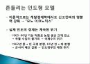 인도 경제발전, 성공요인, 과정, 우리나라 경제 발전과의 비교, 특징, 경제적 효과, 현황, 관리, 역할, 시사점, 미래 전망, 나아갈 방향, 조사분 12페이지