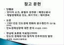 인도 경제발전, 성공요인, 과정, 우리나라 경제 발전과의 비교, 특징, 경제적 효과, 현황, 관리, 역할, 시사점, 미래 전망, 나아갈 방향, 조사분 37페이지