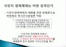 식민지 종속형 자본주의, 식민지 반봉건 사회론, 식민지 자본제설, 식민지 근대 논쟁, 식민지 경제체제, 박현채, 유래 특징, 현황, 시사점, 나의견해, 총체적 조사분 12페이지