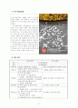 문화산업의 개념, 특징, 경제적 효과, 부산 국제영화제, 지역축제 발전, 지역경제 발전, 개발, 경제적 가치, 성공 요인, 전략, 특징, 중요성, 발전 방안, 역할, 시사점 8페이지