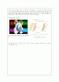 [미생물의 세계]  숙성의 멋 ; 발효 13페이지