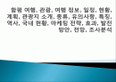 함평 여행, 관광, 여행 정보, 일정, 현황, 계획, 관광지 소개, 종류, 유의사항, 특징, 역사, 국내 현황, 마케팅 전략, 효과, 발전방안, 전망, 조사분석 1페이지