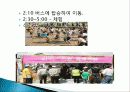 함평 여행, 관광, 여행 정보, 일정, 현황, 계획, 관광지 소개, 종류, 유의사항, 특징, 역사, 국내 현황, 마케팅 전략, 효과, 발전방안, 전망, 조사분석 8페이지
