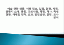 예술 관광 상품, 여행 정보, 일정, 현황, 계획, 관광지 소개, 종류, 유의사항, 특징, 역사, 국내 현황, 마케팅 전략, 효과, 발전방안, 전망, 조사분석 1페이지
