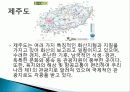 제주도 인센티브 여행, 관광, 여행 정보, 일정, 현황, 계획, 관광지 소개, 종류, 유의사항, 특징, 역사, 국내 현황, 마케팅 전략, 발전방안, 전망, 조사분 4페이지