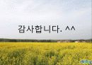 제주도 인센티브 여행, 관광, 여행 정보, 일정, 현황, 계획, 관광지 소개, 종류, 유의사항, 특징, 역사, 국내 현황, 마케팅 전략, 발전방안, 전망, 조사분 13페이지