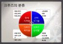 크루즈 여행, 관광 상품, 여행 정보, 일정, 현황, 계획, 관광지 소개, 종류, 유의사항, 특징, 역사, 국내 현황, 마케팅 전략, 효과, 발전방안, 전망, 조사분석 4페이지