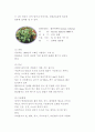 허브와 향신료의 차이점 11페이지