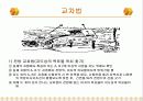 나침반의 역사,종류 12페이지