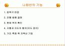 나침반의 역사,종류 17페이지