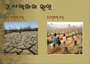 사막화 4페이지