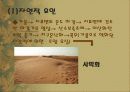 사막화 5페이지