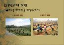 사막화 6페이지