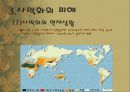 사막화 9페이지