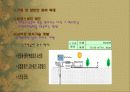 사막화 13페이지