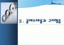 고지혈증이란 무엇인가  11페이지