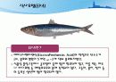 고지혈증이란 무엇인가  35페이지