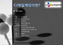 CJ 제일제당 재무재표 분석 4페이지