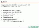 HSV 제출 - Herpes simplex virus 1,2 associated skin disorder 3페이지