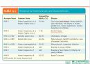 HSV 제출 - Herpes simplex virus 1,2 associated skin disorder 4페이지