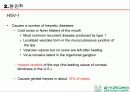 HSV 제출 - Herpes simplex virus 1,2 associated skin disorder 5페이지