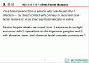 HSV 제출 - Herpes simplex virus 1,2 associated skin disorder 15페이지