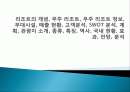 리조트의 개념, 무주 리조트, 무주 리조트 정보, 부대시설, 매출 현황, 고객분석, SWOT 분석, 계획, 관광지 소개, 종류, 특징, 역사, 국내 현황, 효과, 전망, 분석 1페이지