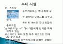 리조트의 개념, 무주 리조트, 무주 리조트 정보, 부대시설, 매출 현황, 고객분석, SWOT 분석, 계획, 관광지 소개, 종류, 특징, 역사, 국내 현황, 효과, 전망, 분석 9페이지