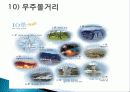 리조트의 개념, 무주 리조트, 무주 리조트 정보, 부대시설, 매출 현황, 고객분석, SWOT 분석, 계획, 관광지 소개, 종류, 특징, 역사, 국내 현황, 효과, 전망, 분석 20페이지