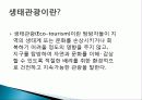 생태 관광 정의, 상품 소개, 특징, 생태관광 일정, 문제점, 일정, 현황, 계획, 종류, 특징, 역사, 국내 현황, 마케팅 전략, 효과, 전망, 분석 4페이지
