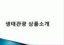생태 관광 정의, 상품 소개, 특징, 생태관광 일정, 문제점, 일정, 현황, 계획, 종류, 특징, 역사, 국내 현황, 마케팅 전략, 효과, 전망, 분석 5페이지