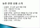 농촌 관광의 정의, 개념, 여행 상품 소개, 일정, 농촌 관광의 장점, 단점, 현황, 계획, 종류, 특징, 역사, 국내 현황, 마케팅 전략, 효과, 전망, 분석 4페이지
