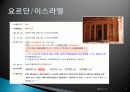 종교 관광, 여행 상품, 여행 정보, 일정, 현황, 계획, 관광지 소개, 종류, 유의사항, 특징, 역사, 국내 현황, 마케팅 전략, 효과, 발전방안, 전망, 분석 4페이지