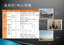 종교 관광, 여행 상품, 여행 정보, 일정, 현황, 계획, 관광지 소개, 종류, 유의사항, 특징, 역사, 국내 현황, 마케팅 전략, 효과, 발전방안, 전망, 분석 5페이지