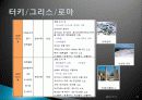 종교 관광, 여행 상품, 여행 정보, 일정, 현황, 계획, 관광지 소개, 종류, 유의사항, 특징, 역사, 국내 현황, 마케팅 전략, 효과, 발전방안, 전망, 분석 12페이지